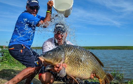 Program competitional 2015 in pescuitul la crap